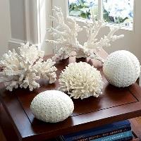 Tideline - Coral Decor Wholesale USA image 3